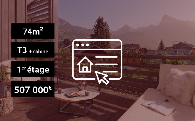 B101 Les Chalets de l'Orsa - Morillon